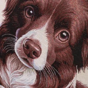 Dvipusė gobeleno pagalvėlė - Rudas borderkolis